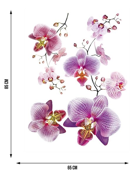 Samolepka na zeď Fialové Orchideje | 65 x 85 cm | DF0466