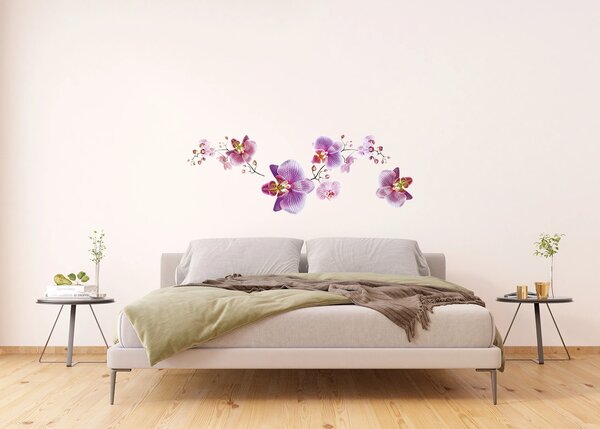 Samolepka na zeď Fialové Orchideje | 65 x 85 cm | DF0466