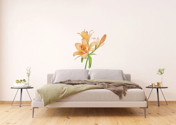 Samolepka na zeď Oranžové Lilie | 65 x 85 cm | DF0450