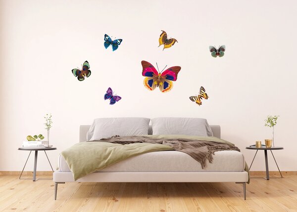Samolepka na zeď Nádherné Barevné Motýly | 65 x 85 cm | DF1037