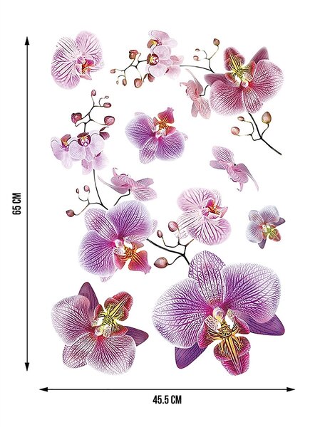 Samolepka na zeď Orchideje | 42.5 x 65 cm | DSM3440