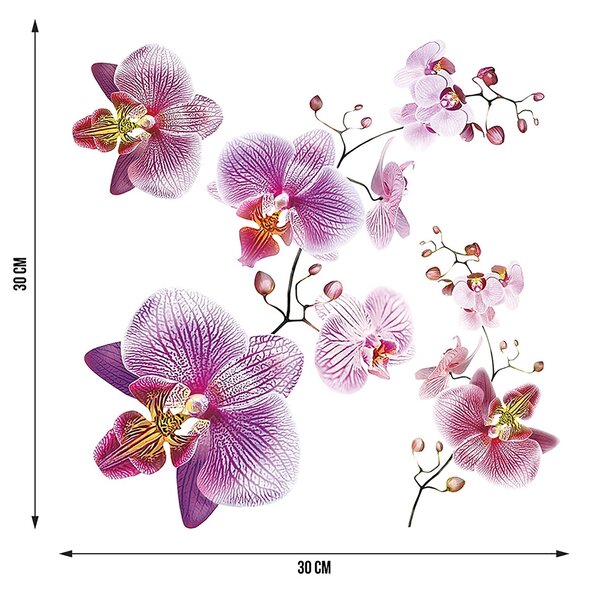 Samolepka na zeď Orchideje | 30 x 30 cm | DSS3859