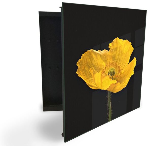 Glasdekor skříňka na klíče - květ žlutý tulipán - Levé / Bílá
