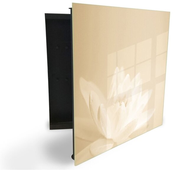 Glasdekor skříňka na klíče - bílý květ leknínu na béžovém pozadí - Pravé / Bílá