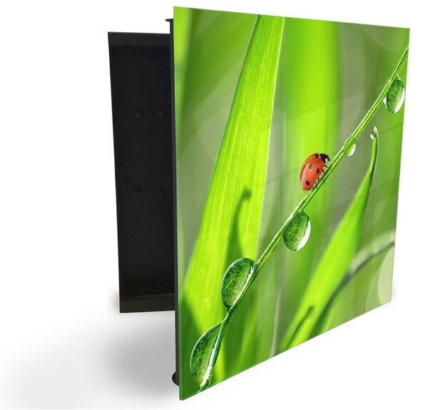Glasdekor skříňka na klíče - beruška na stvolu trávy s rosou - Levé / Černá
