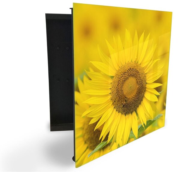 Glasdekor skříňka na klíče - detail květ slunečnice - Levé / Bílá