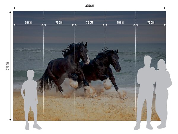 Fototapeta na míru Koně | Vliesová fototapeta na zed' | DFTNS1260