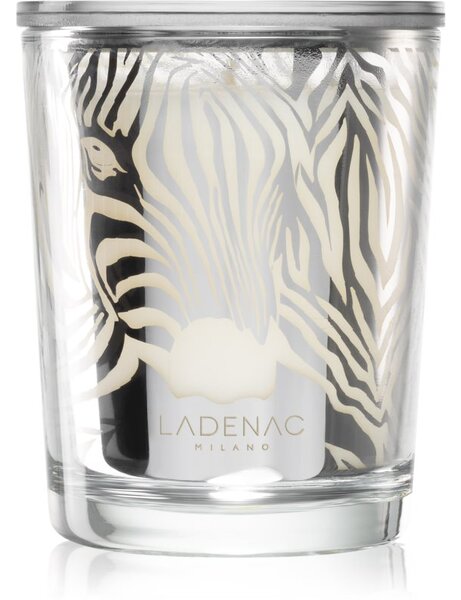 Ladenac Africa Zebra Camouflage vonná svíčka 70 g