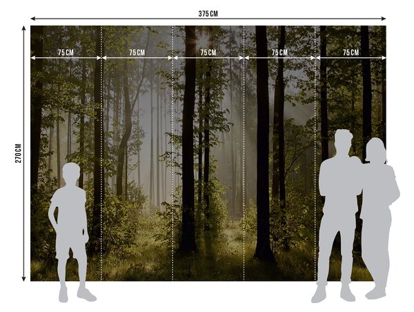 Fototapeta na míru Magický Les | Vliesová fototapeta na zed' | DFTNS2447