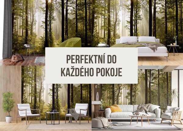 Fototapeta na míru Magický Les | Vliesová fototapeta na zed' | DFTNS2447