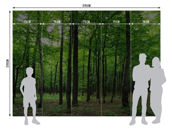 Fototapeta na míru Les | Vliesová fototapeta na zed' | DFTNS2446