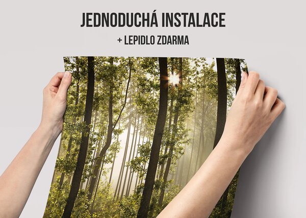 Fototapeta na míru Magický Les | Vliesová fototapeta na zed' | DFTNS2447