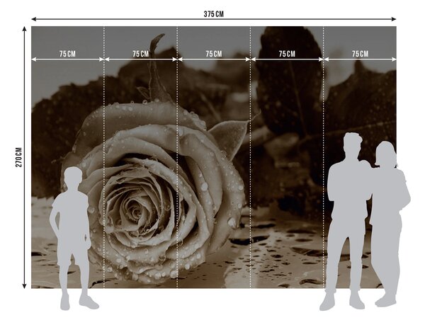 Fototapeta na míru Černobílá Růže | Vliesová fototapeta na zed' | DFTNS2458