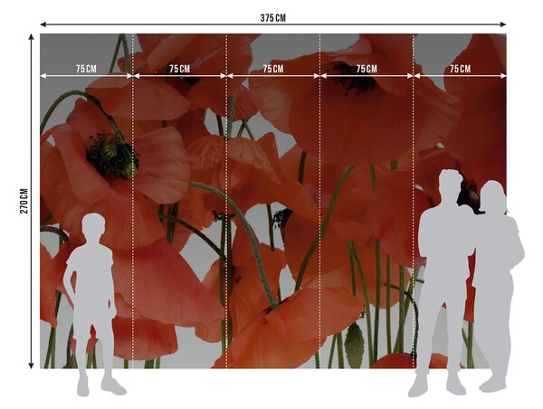 Fototapeta na míru Vlčí Mák | Vliesová fototapeta na zed' | DFTNS2461