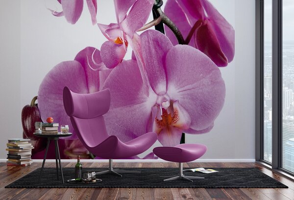 Fototapeta na míru Fialová Orchidej | Vliesová fototapeta na zed' | DFTNS2459
