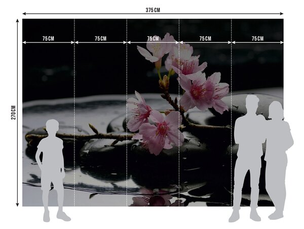 Fototapeta na míru Květy Sakury na Lávových Kamenech | Vliesová fototapeta na zed' | DFTNS2460