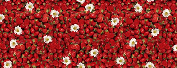 Ubrus PVC s textilním podkladem 1156-00 FLORISTA, jahody, červená, š.140cm (metráž)