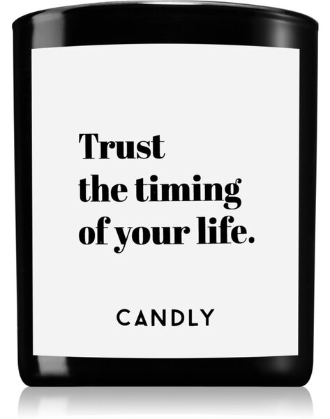 Candly & Co. Trust the timing vonná svíčka 250 g