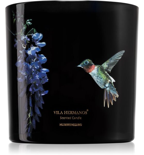 Vila Hermanos Jungletopia Hummingbird vonná svíčka 620 g