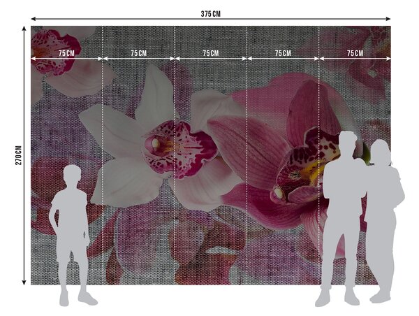 Fototapeta na míru Smyslné Orchideje | Vliesová fototapeta na zed' | DFTNXXL1148