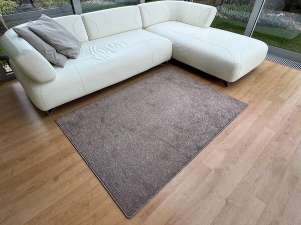 Vopi, Kusový koberec Apollo Soft hnědý, 60x110, hnědá, obývací pokoj