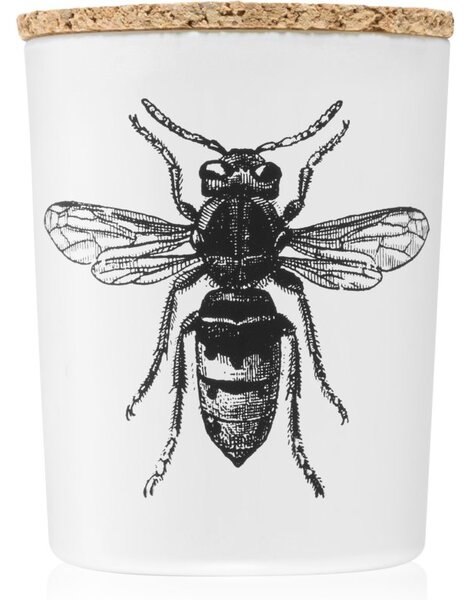 Vila Hermanos Insect Calabrone vonná svíčka 75 g