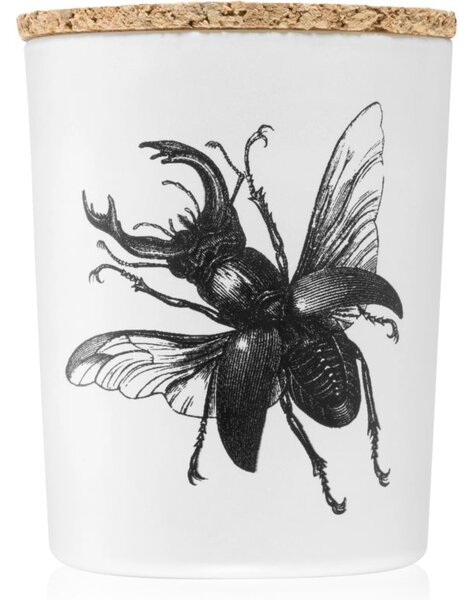 Vila Hermanos Insect Lucanus Cervus vonná svíčka 75 g
