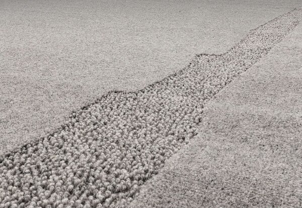Šedý vlněný koberec 160x230 cm Morphic Rocca – Agnella