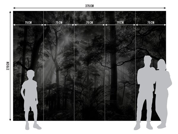 Fototapeta na míru Noční Les | Vliesová fototapeta na zed' | DFTNXXL3027