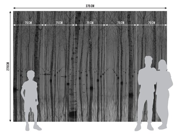 Fototapeta na míru Břízová Reflexe | Vliesová fototapeta na zed' | DFTNXXL3004