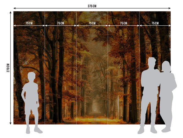 Fototapeta na míru Podzimní Cesta | Vliesová fototapeta na zed' | DFTNXXL3009
