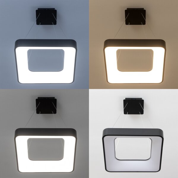 Brilagi - LED Stmív. lustr na lanku FALCON II LED/80W/230V 40x40 cm černá + DO