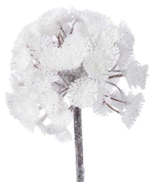 Květina ledová, 12x12x70 cm