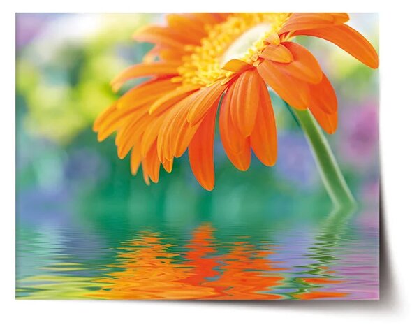 Sablio Plakát Oranžová gerbera - 60x40 cm