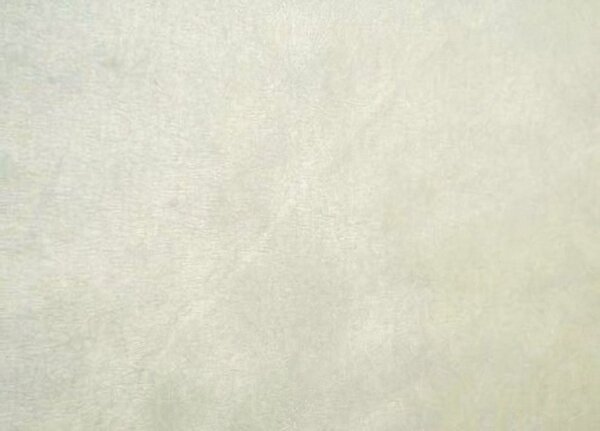 Boneka plyš hladký ILJA 101, režná ecru, šíře 150cm (metráž)
