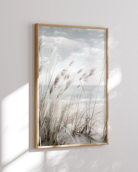 Oboustranný plakát Plážové Pampasy / Suché Květiny | 30 x 42 cm | DP351331