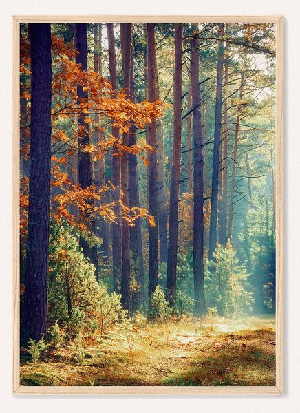Oboustranný plakát Tichá Chatka / Podzimní Les | 30 x 42 cm | DP351313