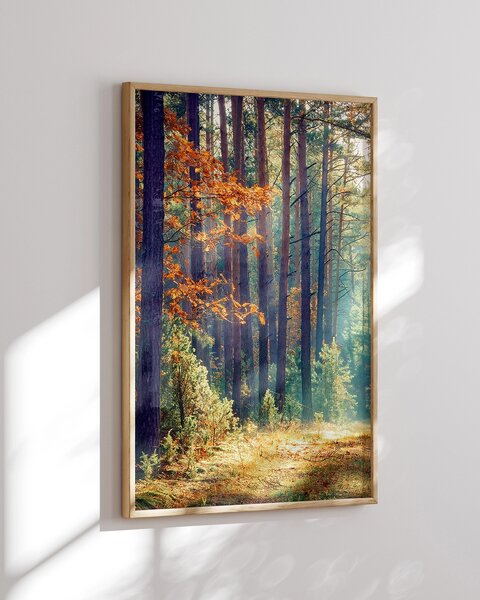 Oboustranný plakát Tichá Chatka / Podzimní Les | 30 x 42 cm | DP351313