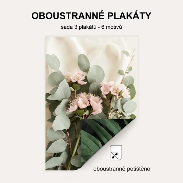 Oboustranná Sada Plakátů Botanika | 3 x 30 x 42 cm | DP3351483