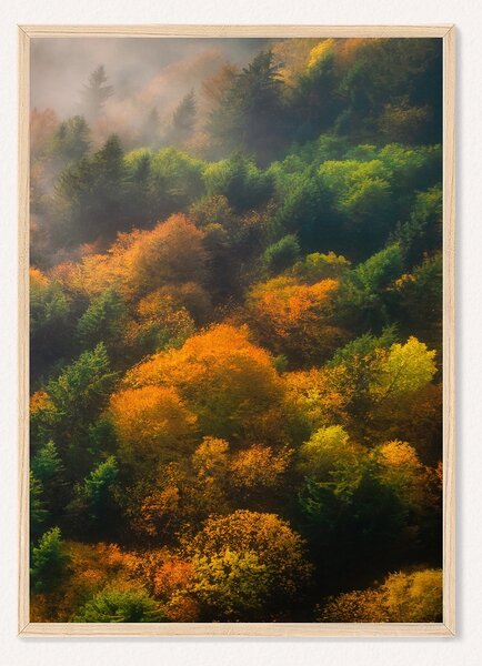 Oboustranný plakát Příroda | 30 x 42 cm | DP351465