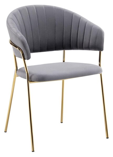 Jídelní židle Dasmona 1 (šedohnědá+gold chrom zlatý)