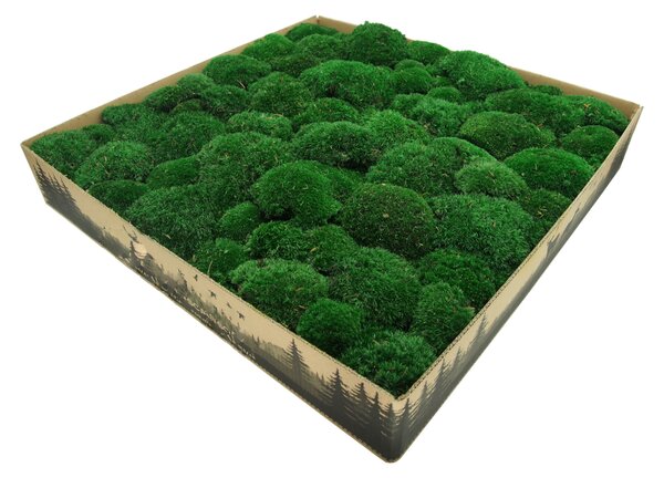 Stabilizovaný kopečkový mech tmavězelený 0,1m²