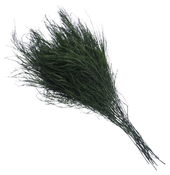 Asparagus stabilizovaný 50g