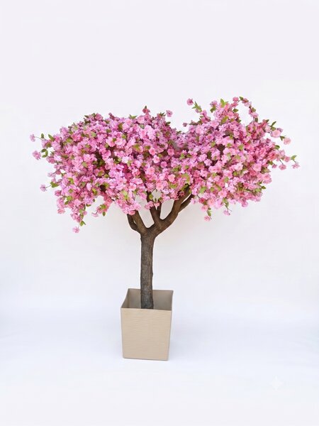 Kvetoucí strom sakura- extra široká koruna 180cm