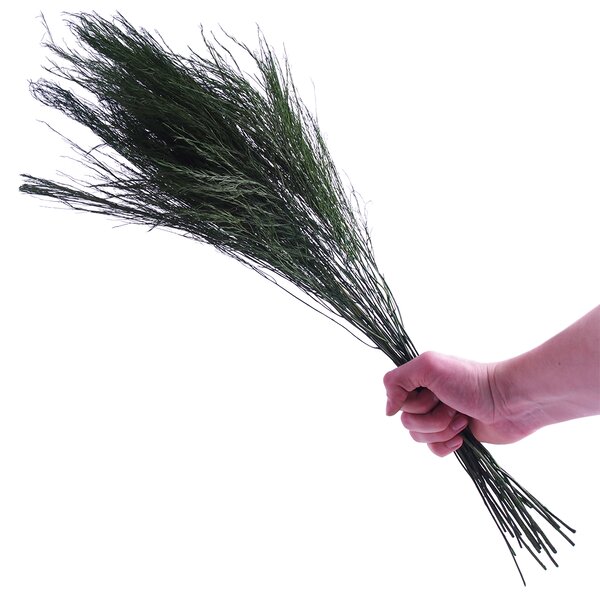 Asparagus stabilizovaný 50g