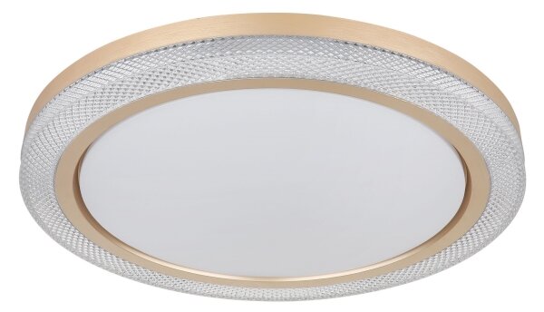 Globo 41372-24 - LED RGBW Stmívatelné stropní svítidlo BOLLY LED/20W/230V + DO