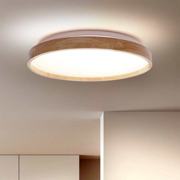 Brilagi - LED Stmívatelné stropní svítidlo ALSON LED/48W/230V 3000-6500K + DO