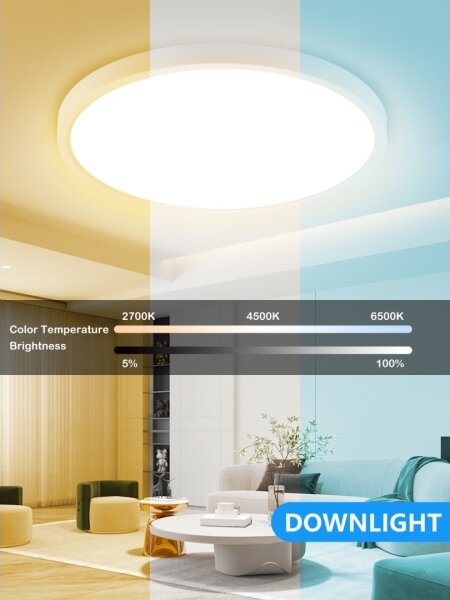 Immax NEO 07169-W60 - LED RGB Stmívatelné svítidlo TUDO 65W/230V Wi-Fi Tuya + DO