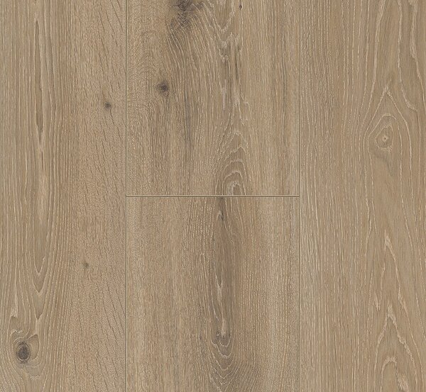 PARADOR Trendtime 6 Dub Castell bělený kartáčovaná struktura 1371173 - 2.67 m2