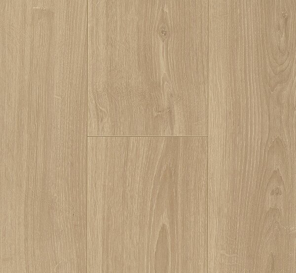 PARADOR Trendtime 6 Dub Studioline přírodní přírodně matná struktura 1601102 - 2.67 m2